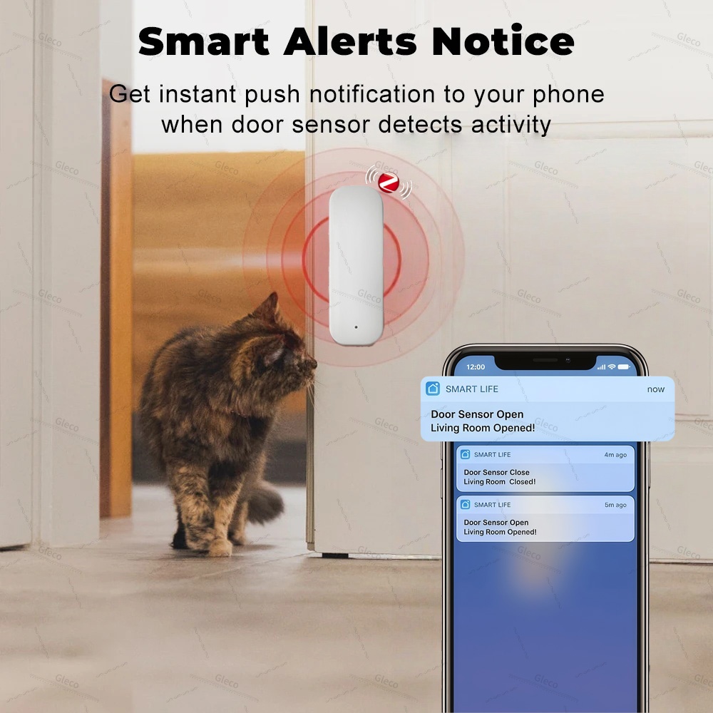 Tuya Zigbee Sensor de ventana  - Wireless Door Sensor reseña y precio