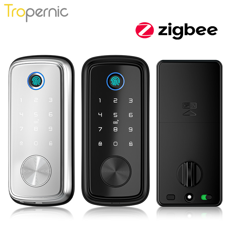 Tuya Zigbee-cerrojo de segurid - Smart Home Door Lock reseña y precio
