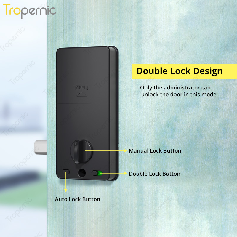 Tuya Zigbee-cerrojo de segurid - Smart Home Door Lock reseña y precio